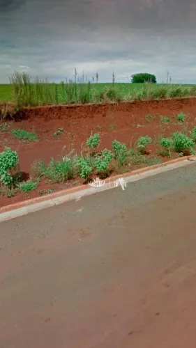 Terreno à venda, 375 m² por R$ 150.000,00 - Colinas - Londrina/PR