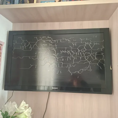 Tv Sony Bravia (Bolhas na tela)