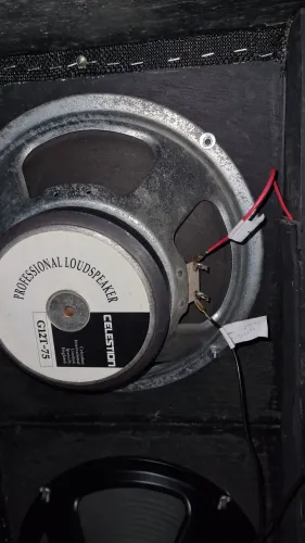 Alto falante Celestion G12T-75 o par