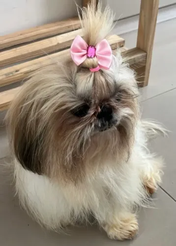 Carinhosa
