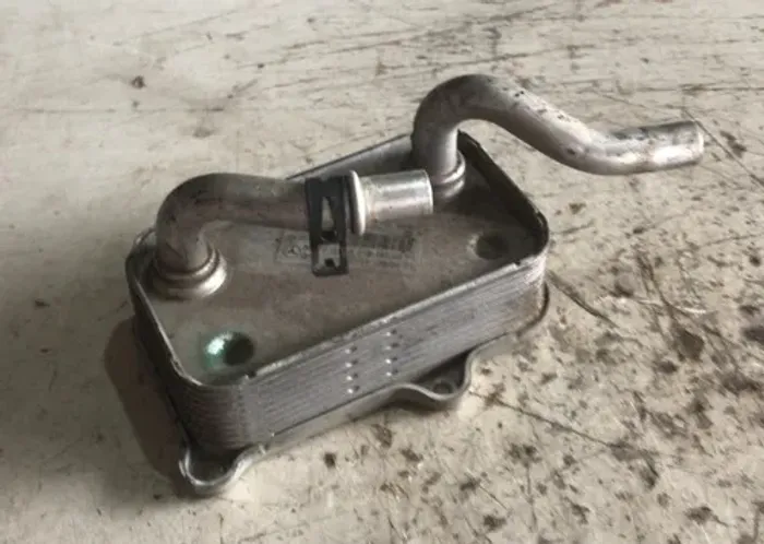 Resfriador De Óleo Mercedes R500 5.0 V8 2007