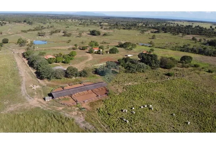 Fazenda com 1.033 ha Flores de Goiás 213 alqueires gado