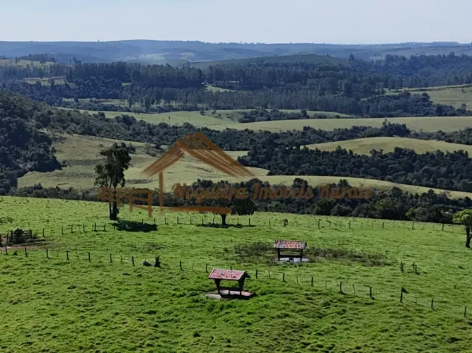 Fazenda Espetacular à Venda Região de Botucatu/SP