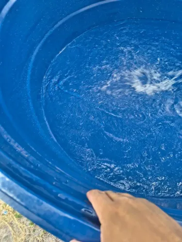 Limpeza de caixa d'água