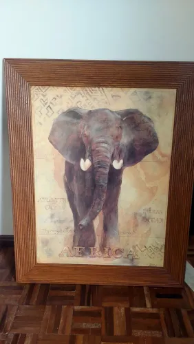 QUADRO ELEFANTE AFRICANO 