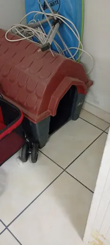 Casinha cachorro médio porte impecável 