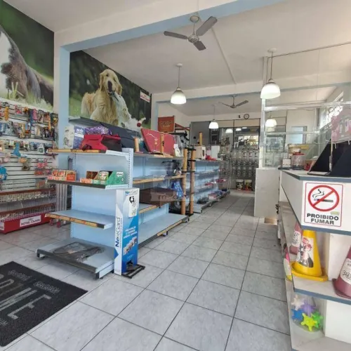 Salão para alugar, 130 m² por R$ 4.950,00/mês - Vila Palmeiras - São Paulo/SP