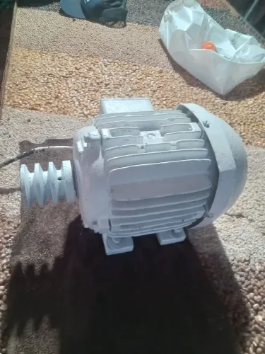 MOTOR TRIFÁSICO WEG 02 CV