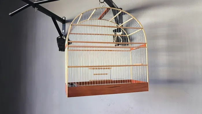 Gaiola número 4