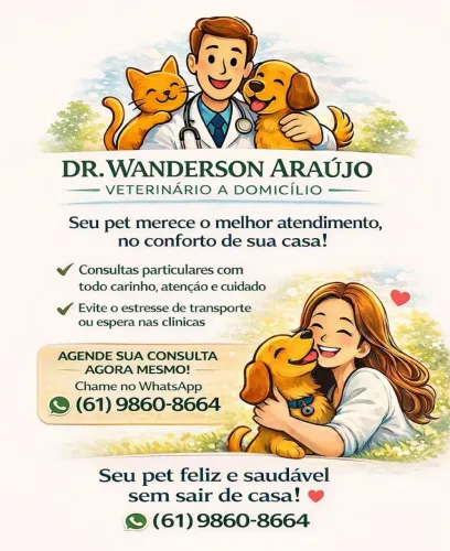 ? CONSULTA VETERINÁRIA EM CASA COM VALOR ESPECIAL HOJE!