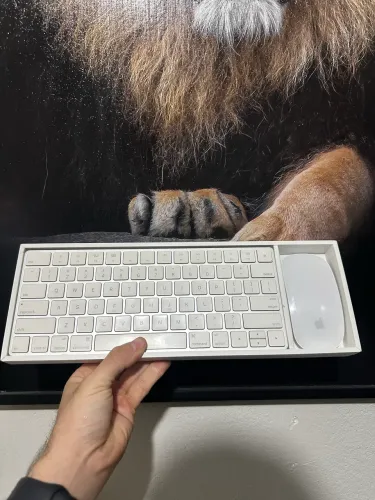 Kit Apple Magic Keyboard + Magic Mouse