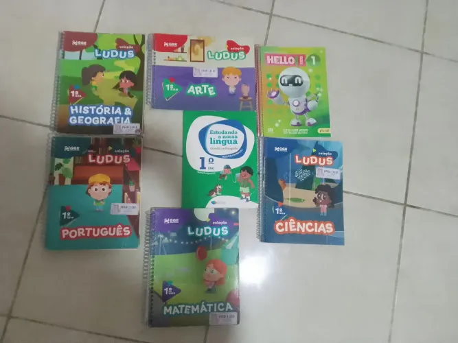 Livros Didáticos - Coleção LUDUS - 1 ANO fundamental I