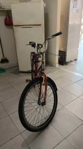 Bicicleta Estilo Poti