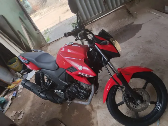 fazer 150 ano 2024