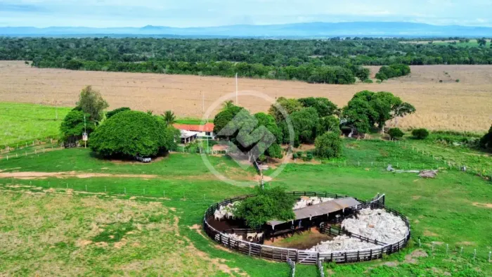 Fazenda Vitrine em Poconé 630 ha Dupla Aptidão codigo: 307351
