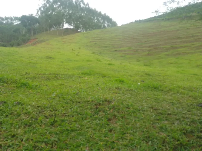 Sítio ponto alto 20 mil metros quadrados