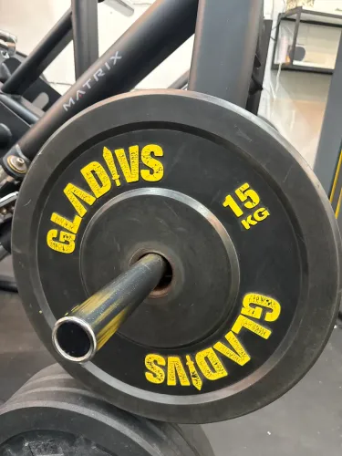 2 Anilhas olímpicas de 15kg
