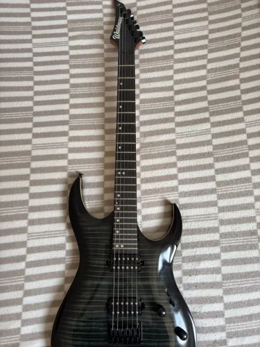 Guitarra Waldman WGAR220F