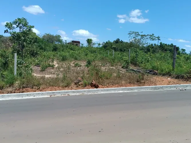 Terreno no Bairro Coelho - Morros/MA