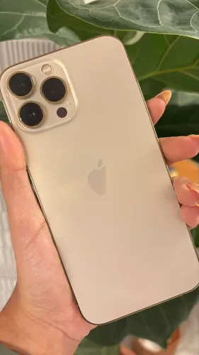 iPhone 13 Pro Max 512GB