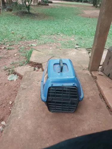 Caixa de transporte pequena 