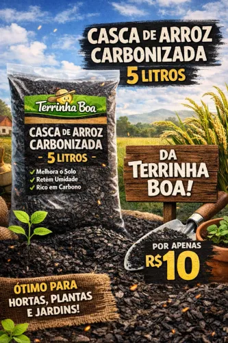 Casca de arroz carbonizada (Substrato para plantas)