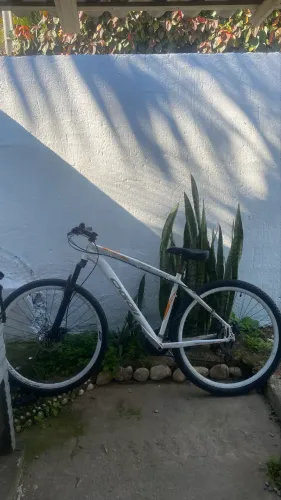 BIKE OGGI ARO 29