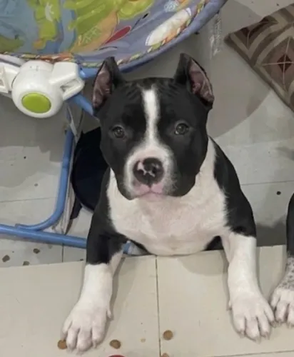 Pit monster