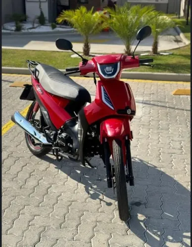 Fenix 50tinha 2024