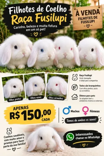 Filhote de Coelho Fuzzy Lop