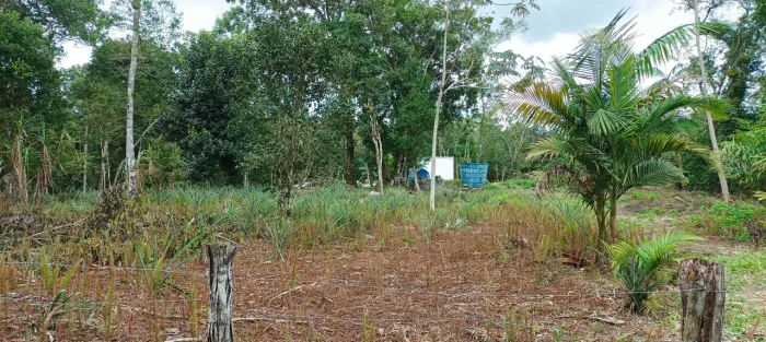 Oportunidade!100.000mt2 em Itapoá 