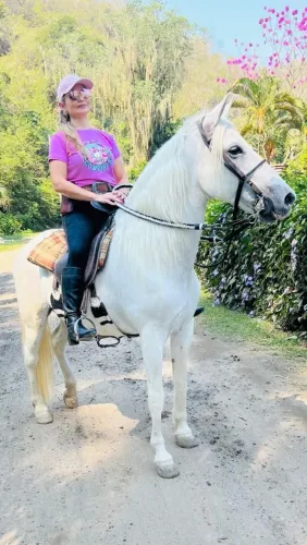 Cavalo mangalarga