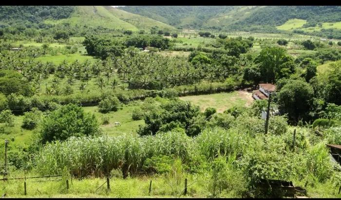 Alugo pastos para Equinos e bovinos em Macacu