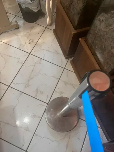 Pedestal oganizado de filas com fita delimitadora 2m