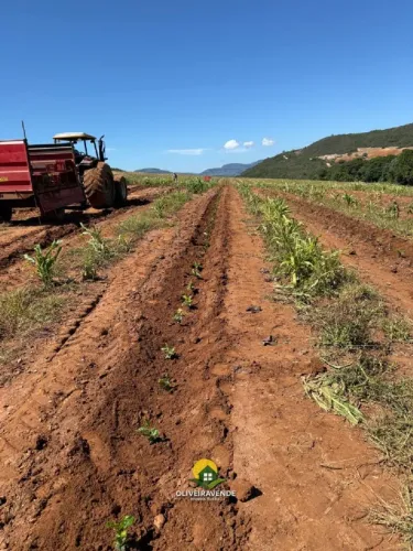 Fazenda para Venda em Guapé, José Candido, 2 dormitórios, 1 banheiro, 1 vaga