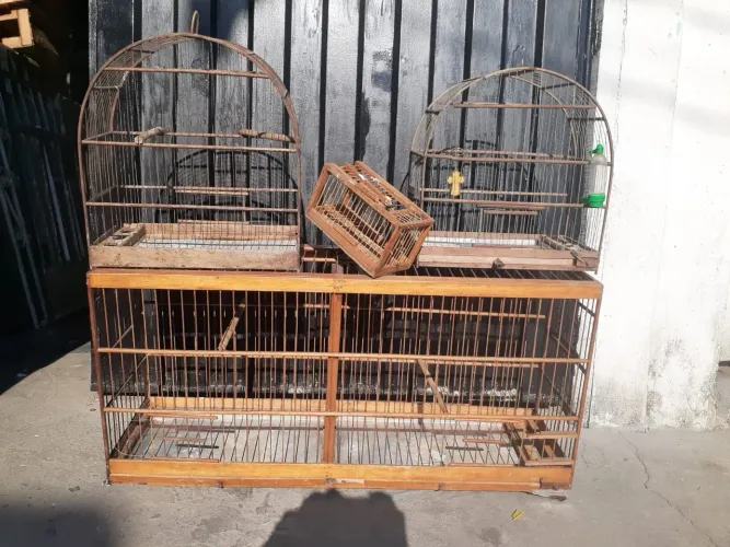 Gaiolas e 1 alçapão tudo por 250,00!