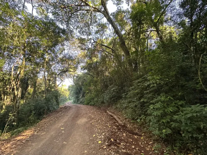 Sítio de Meia Hectare 5000m2 em Taquara RS