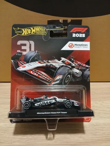 Hotwells moneygram Haas F1 TEAM 2025
