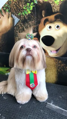 Ola me chamo marley procuro uma namorada 
