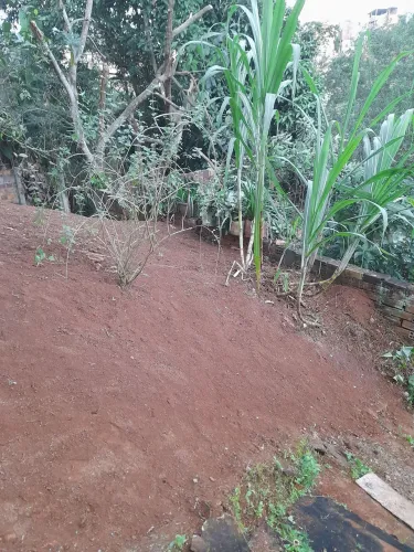 Terreno bem localizado.