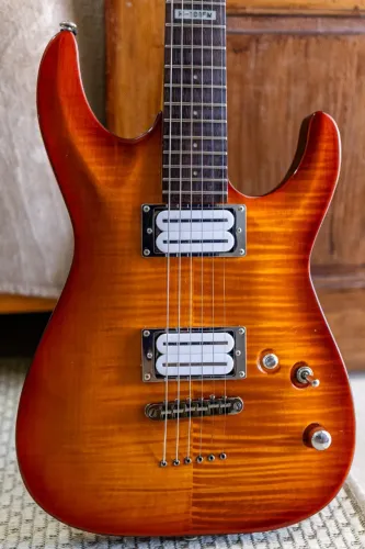Guitarra ESP LTD H-101FM Trastes INOX e Upgrades