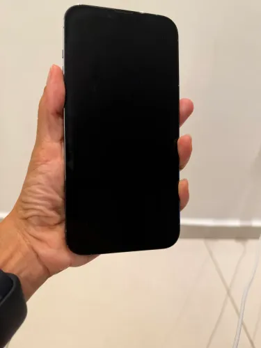 iPhone 13 Pro Max 256GB