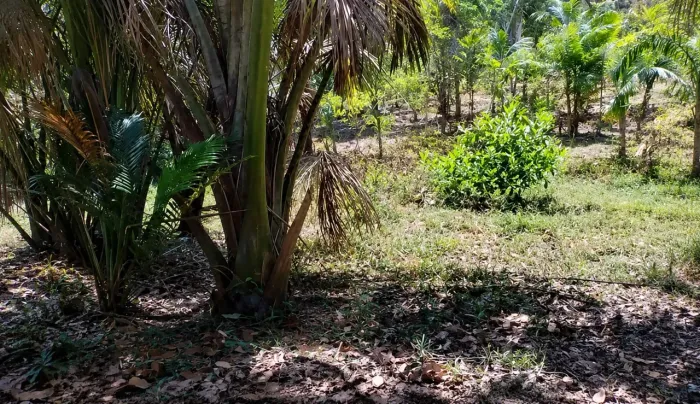 Excelente área no Quebra Pote ideal para chácara ou sítio