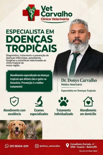 CONSULTA VETERINÁRIA EM DOMICÍLIO - Fortaleza