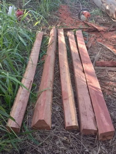 Lascas de Eucalipto Vermelho $ 660,00 a duzia