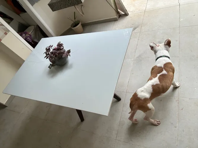 MESA TAMPO VIDRO QUEBRADO