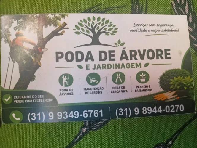 Detetizacao de inseto ?