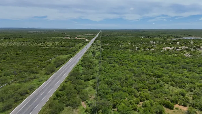 fazenda com 33 hectares na BR.304 com um excelente maciço de pedra para exploração