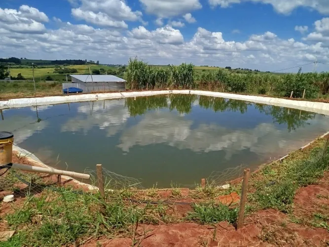 Vende-se chácara 7.500 m2 em Mandaguaçu