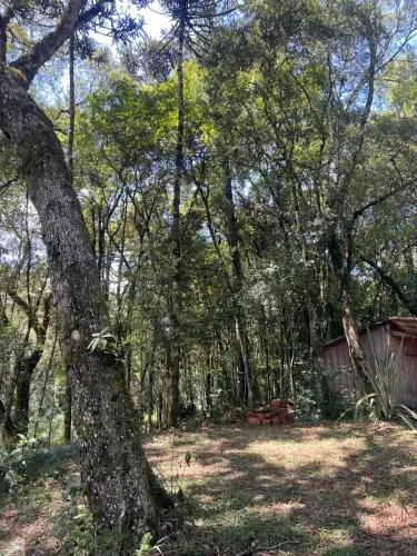 Chácara para venda tem 22000 metros quadrados com Casa de 80 metros - Trigolandia - Piên -